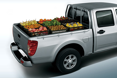 وینگل  5   (دو کابین)